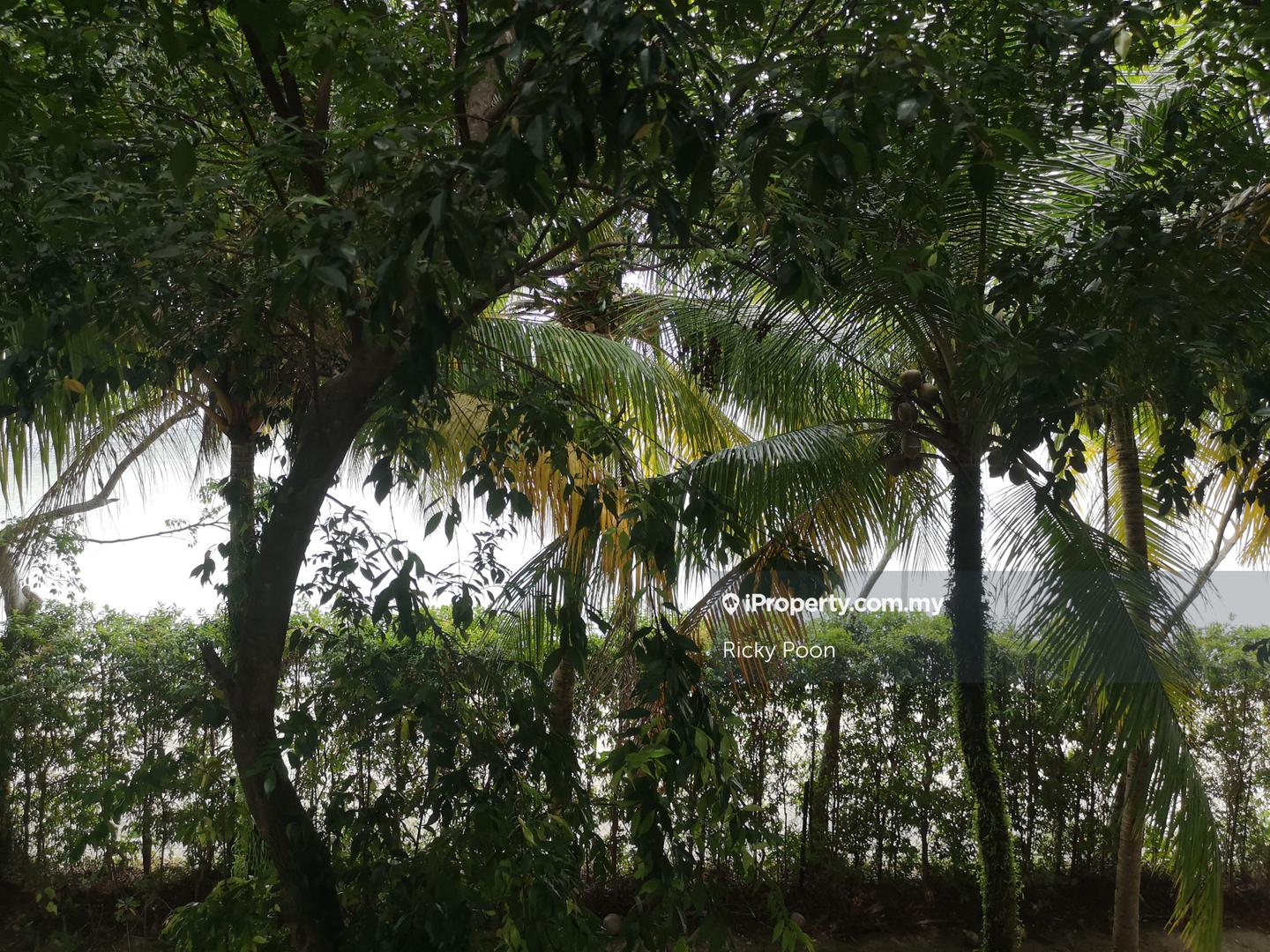 Rumah Berangkai 2.5 Tingkat untuk Dijual di Seri Tanjung Pinang, Tanjung Tokong oleh Ricky Poon - iProperty.com.my