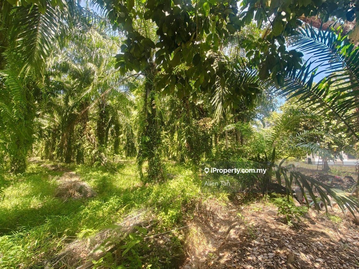 Tanah Pertanian untuk Dijual di Bandar Pontian, Pontian oleh Allen Tan - iProperty.com.my