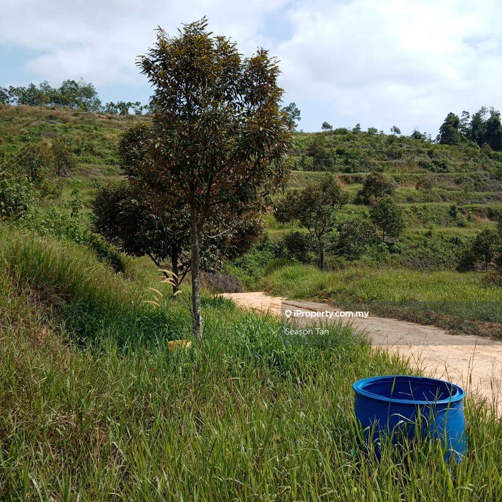 Agricultural Land for Sale in Bentong, Bentong by Season Tan - iProperty.com.my