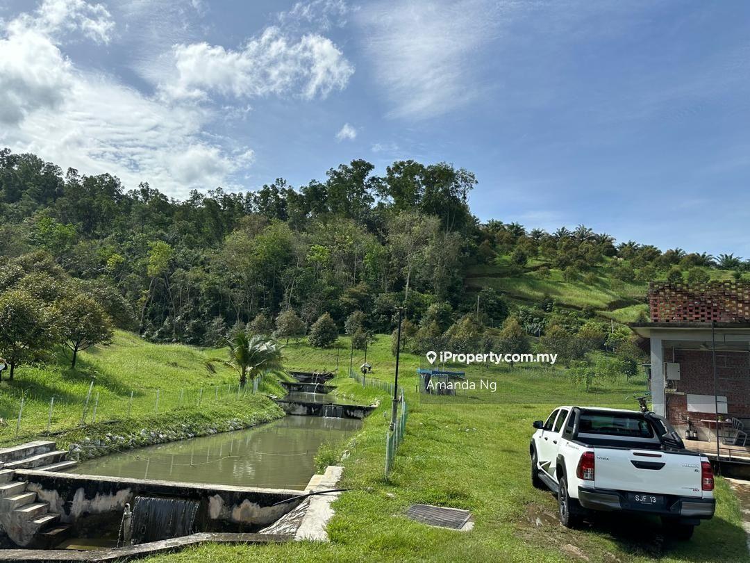 Agricultural Land for Sale in Serendah, Rawang by Amanda Ng - iProperty.com.my