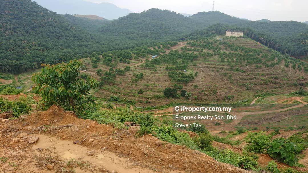 Agricultural Land for Sale in Seremban, Rembau by Steven Tay - iProperty.com.my