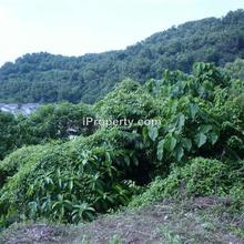 Residential land for Sale