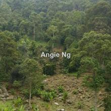 Agriculture land for Sale