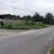 Agriculture land for Rent