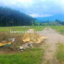 Agriculture land for Sale