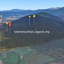 Agriculture land for Sale