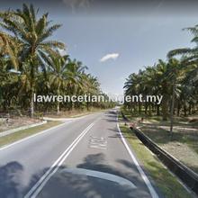 Agriculture land for Sale