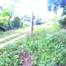Agriculture land for Sale