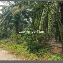 Sungai Pelek Selangor Agriculture land for Sale