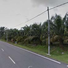 Agriculture land for Sale