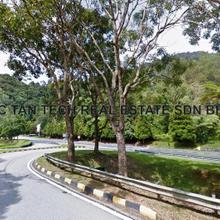Prime Commercial Land for Sale !
