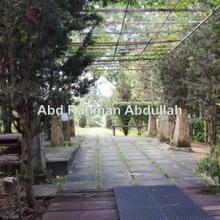 Agriculture land for Sale
