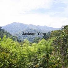 Residential land for Sale