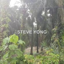 Agriculture land for Sale