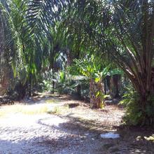 Near KLIA zoning residential 