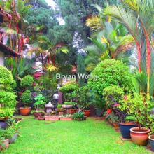 Semi-D house for Sale