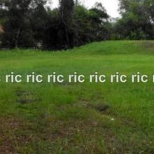 Bungalow land for Sale