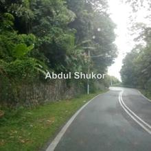 Agriculture land for Sale