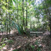 Agriculture land for Sale