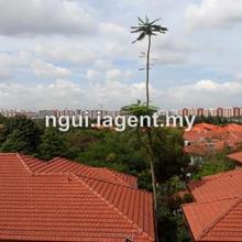 Condominium for Rent