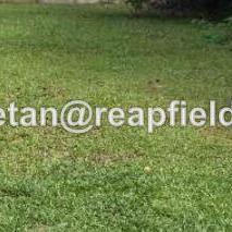 Bungalow land for Sale