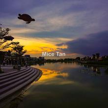 Serviced residence for Sale