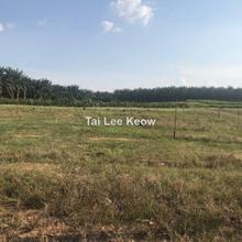Agricultur land for Sale
