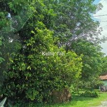 Agriculture land for Rent
