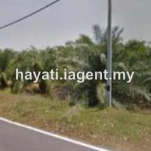 Freehold 100 acres agriculture land Bagan lalang, Sepang, Selangor