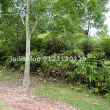 Residential land for Sale