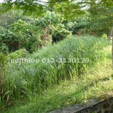 Residential land for Sale