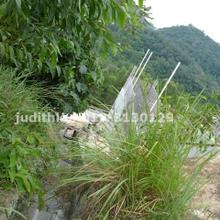 Residential land for Sale
