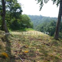 Residential land for Sale