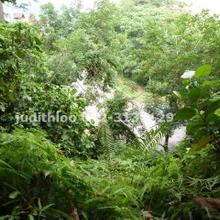 Residential land for Sale