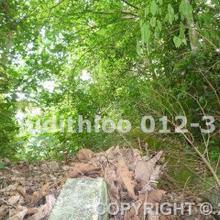 Residential land for Sale