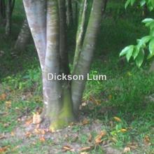 Agriculture land for Sale