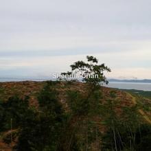 Agricultural land for Sale