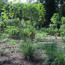 Agriculture land for Sale