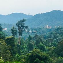 Agriculture land for Sale