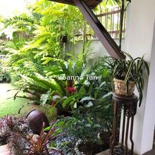Beautiful Bungalow for Sale