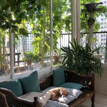 Duplex Penthouse in condominium for sale