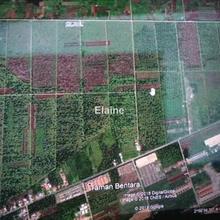 Agriculture land for Sale