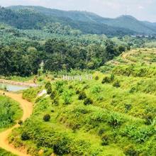 Agriculture land for Sale