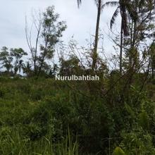 Resort Land For Sale Cherating With Development Order