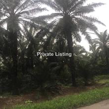 Agriculture land for Sale