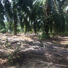 Industrial land for Sale