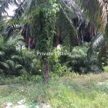 Industrial land for Sale