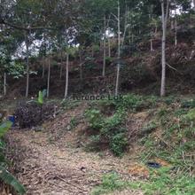 Agriculture land for Sale