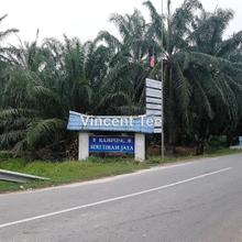 Agriculture land for Sale