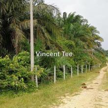 Agriculture land for Sale